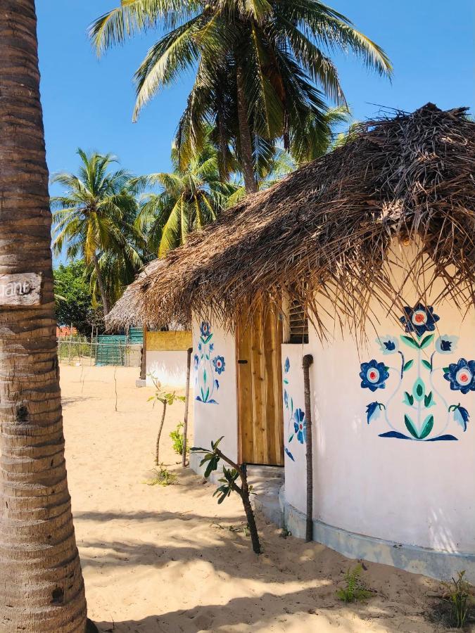 Windy Waves Kite Beach & Nature Resort Калпития Экстерьер фото